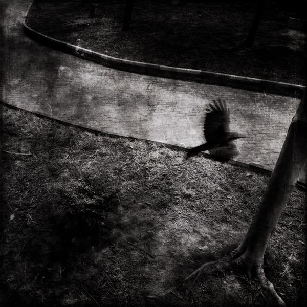 呼死您软件免费